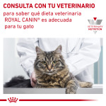 Сухой корм для взрослых кошек Royal Canin Cat Veterinary Diet с аллергией на AN24 2 кг - фото 7