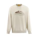 Толстовка мужская CAT, Абрикос - фото 4