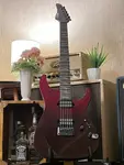 Schecter Reaper 6 Elite BB в цвете Blood Burst - фото 6