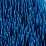 Щетки Kerbl Magic Brush для лошадей, бирюзовый / лиловый / синий - фото 8