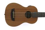 Басс гитара Kala UBASS-WNDR-FS Wanderer Acoustic-Electric U-Bass - фото