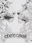 Футболка с принтом Roberto Cavalli, белый - фото 5