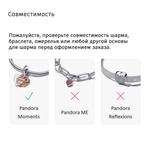 Шарм-клипса Pandora Sparkling Sunburst, серебро/прозрачный - фото 5