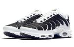 Кроссовки Nike Air Max Plus White Black Metallic Pewter - фото 3