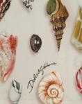 Бермуды из поплина с принтом ракушек Dolce&Gabbana, мультиколор - фото 5
