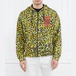 Толстовка обычного кроя Just Cavalli, мультиколор - фото