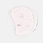 Капли для улучшения кожи 20 мл Lullage - фото 5