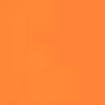 Шорты для серфинга VENICE BEACH, оранжевый - фото 2