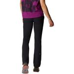 Брюки Dynama/2 женские Mountain Hardwear, черный - фото