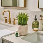 Диффузор для растений из искусственной травы Lifelines, мультиколор - фото 3