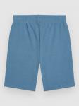 Шорты O'Neill Logo Kids Shorts, copen blue - фото 2