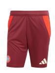 Шорты FC BAYERN MÜNCHEN Regular Workout Pants UCL Teamline, бордо - фото