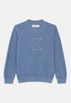 Джемпер Calvin Klein Jeans QUILTED MONOGRAM SWEATER UNISEX, Blue/Light Blue - фото