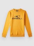 Свитер O'Neill Crew Kids Sweater, nugget - фото
