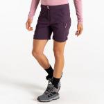 DARE 2B Мелодичные женские шорты - фото 3