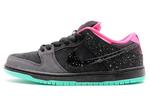 Кроссовки Nike Sb Dunk Low Premier Northern Lights - фото