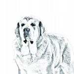 Испанское карманное зеркало Mastafi Inna Marka - фото 2