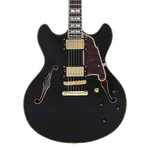 Электрогитара D'Angelico Excel DC Solid Black w/Case - фото 4
