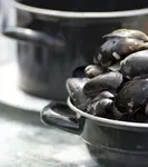 Кастрюля Emilja - фото