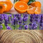 Средство после бритья Calvin Klein Obsession - фото 3