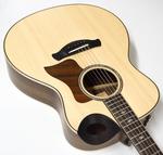 Издание Taylor Builder 816ce Builder's Edition 816ce - фото 4
