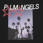 Футболка Palm Angels Stars And Palms Loose Tee 'Black', черный - фото 4