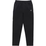 Повседневные брюки Unisex DESCENTE, черный - фото