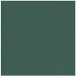 Полотенце для посуды Логотип Ddddd, зеленый - фото 7