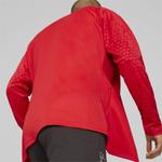 Мужское футбольное джерси Puma, цвет Red - фото 4