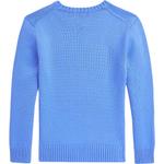 Polo Ralph Lauren Детский синий свитер - фото 4