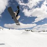 Сноуборд Lib Technologies Skunk Ape Camber Lib Technologies, One Color - фото 5