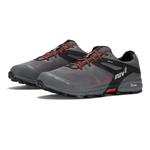 Кроссовки для бега Inov8 Roclite G315 V2 GORE-TEX Trail, серый - фото