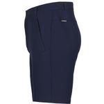 Шорты Бервин Icepeak, цвет dunkel blau - фото 3