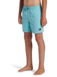 QUIKSILVER Плавки-шорты EVERYDAY SOLID VOLLEY Blue Boy - фото 3