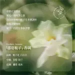 Набор шампуня и кондиционера unisex Korean grain - фото 6