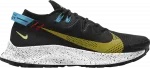 Кроссовки Nike Pegasus Trail 2 'Black Dark Sulfur', черный - фото