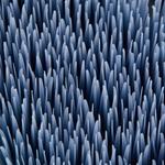 Щетки Kerbl Magic Brush для лошадей, бирюзовый / лиловый / синий - фото 7