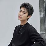 Свитшот мужской Lee, хаки - фото 7