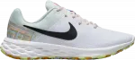 Кроссовки Nike Wmns Revolution 6 Next Nature Premium 'White Multi', белый - фото