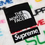 Куртка Supreme x The North Face Steep Tech Fleece, белый - фото 4