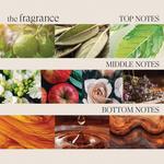 Сухой шампунь Healing Style L'anza - фото 6