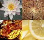 Гель для душа, Лесной ритуал, 250 мл Tesori - фото 5