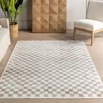 Ковер Lulie Checkered Area Rug nuLOOM, 305x427 см, бежевый - фото 9