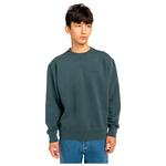 Lowcase pigment crew - свитер Element, черный - фото 3