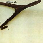 CD диск Wishbone Ash: Wishbone Ash - фото