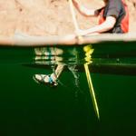 Сандалии Chaco Rapid Pro Toe-Loop Chaco, Eddy Aqua - фото 5