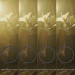 Набор фильтров SmallRig Black Diffusion Filter Kit for Select Matte Boxes 4650 - фото 6