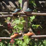 ROUCHETTE Сабо Рушетт Происхождение - фото 7