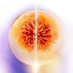 Укрепляющий ночной крем для лица на ночь. Shiseido - фото 4