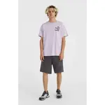 Спортивные шорты O´neill Future Surf Society, серый - фото 6